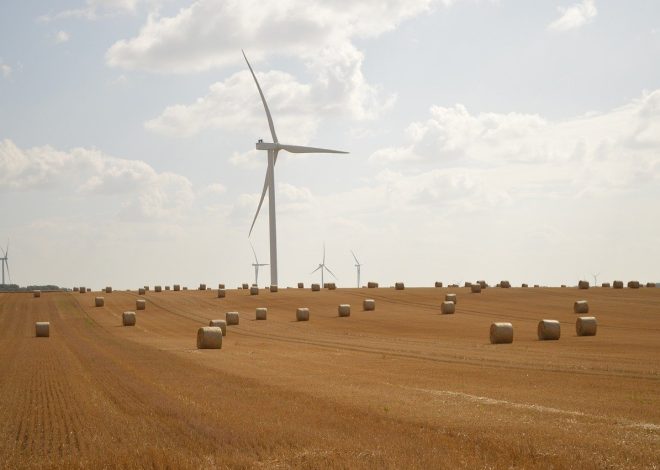 Alternatives écologiques beauté : des choix responsables pour une routine durable