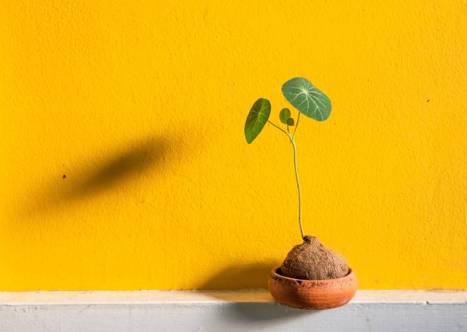 Argile verte masque : bienfaits, utilisations et conseils pour une peau éclatante