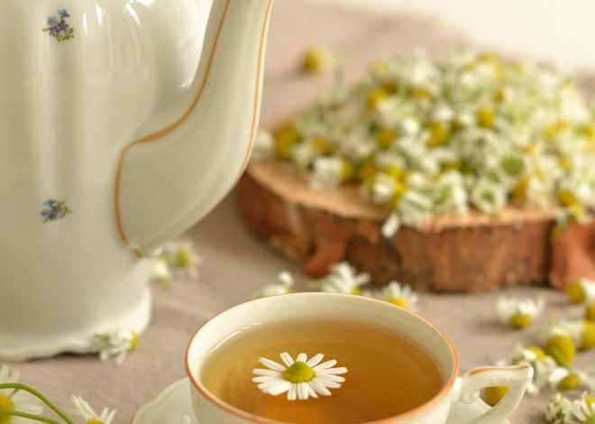 Infusion camomille pour la peau : bienfaits et conseils d’utilisation au quotidien