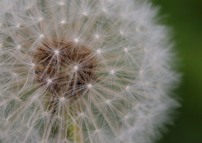 Pousse des cheveux naturellement : astuces et conseils pour stimuler une croissance saine