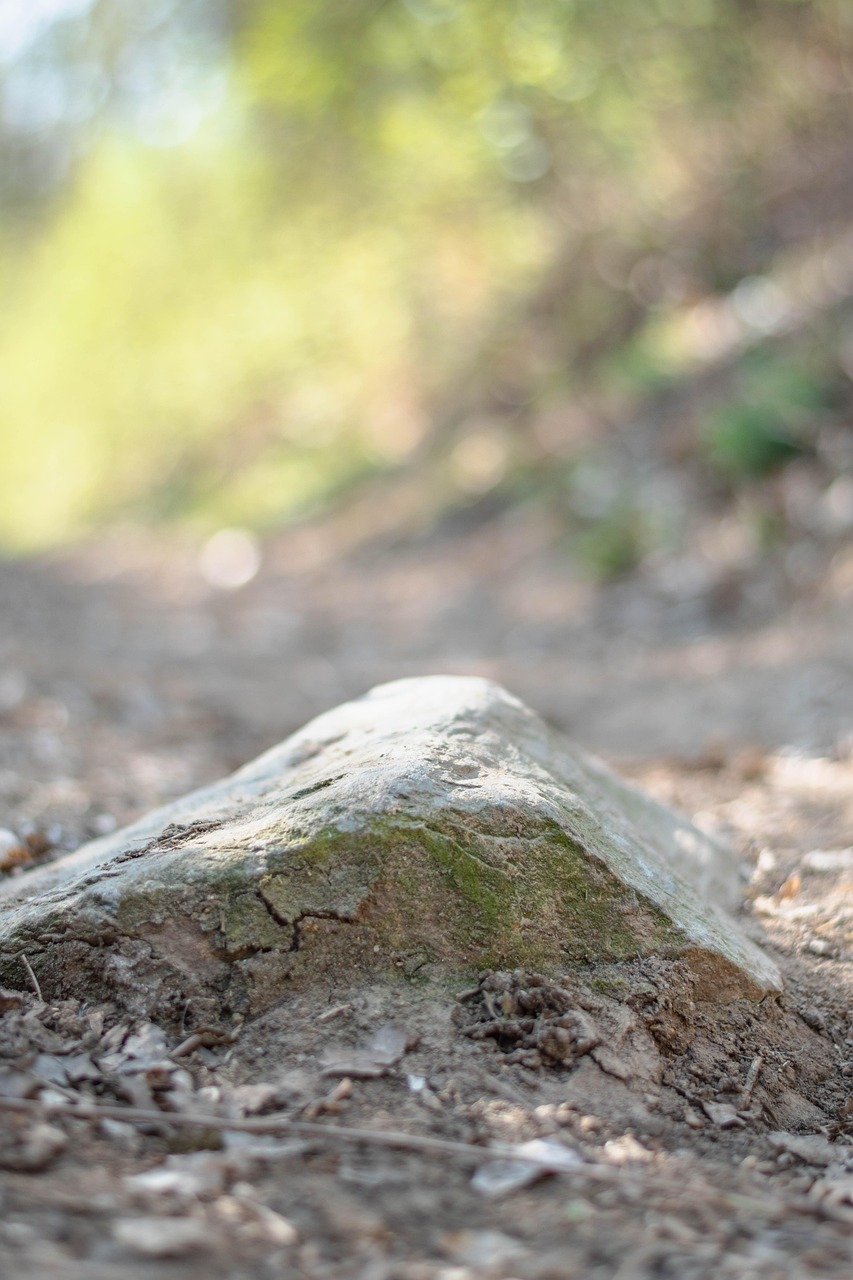 découvrez les bienfaits de la terre verte, un masque naturel purifiant et revitalisant pour une peau éclatante et saine.