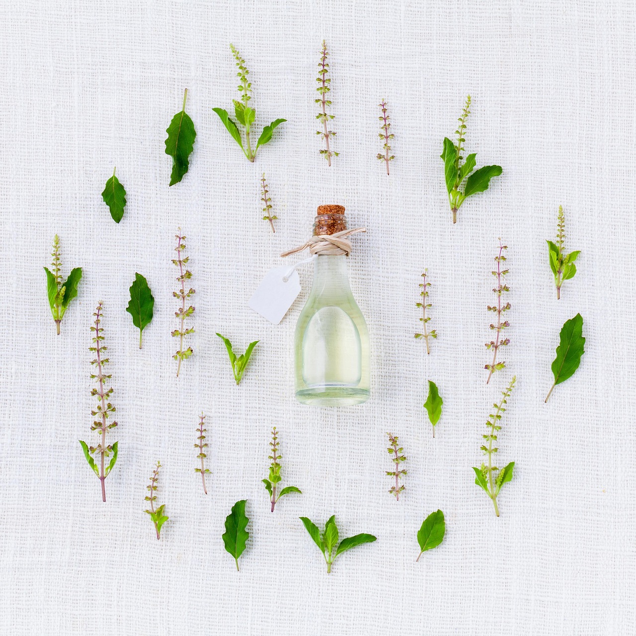 Sephora et le parfum floral femme : tendances 2026 à ne pas manquer