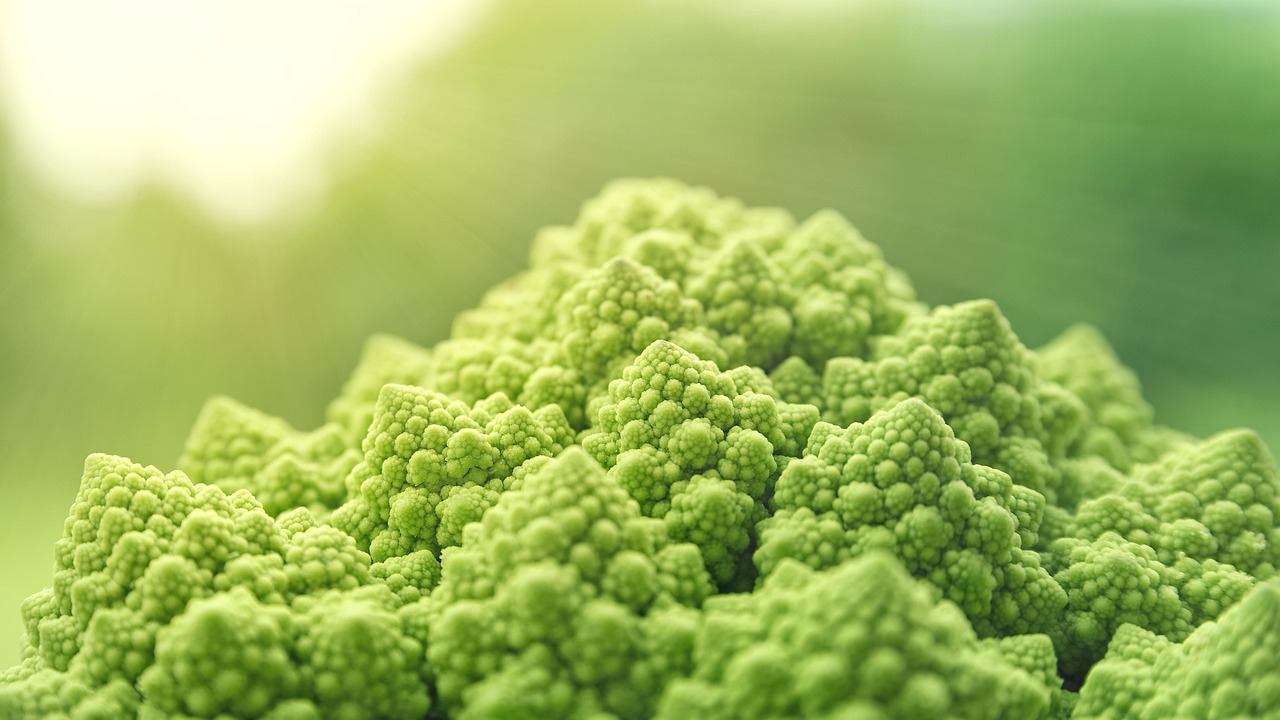 découvrez notre sélection de maquillage vegan, des produits cruelty-free et respectueux de l'environnement pour une beauté naturelle et éthique.